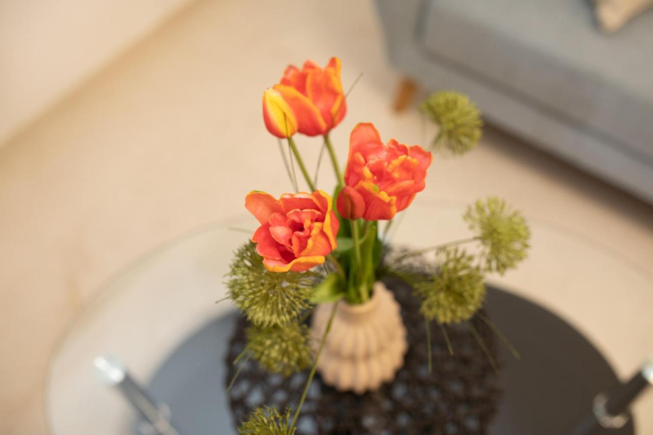 Apartman "Ela" ニヴィーチェ エクステリア 写真