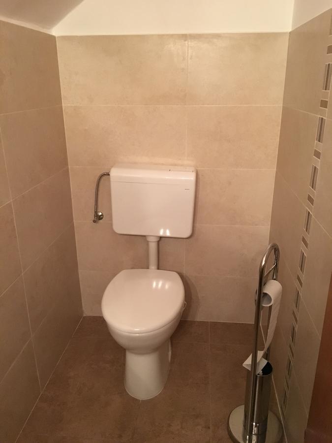 Apartman "Ela" ニヴィーチェ エクステリア 写真